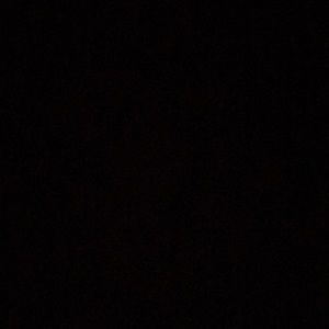 Meet your Posher, Aloni